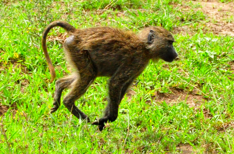 Melanie Heinrich Travel Images Africa